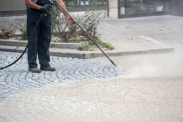 Best Driveway Pressure Washing  in St Marys, WV